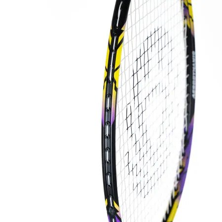 Ракетка бадм. TORRES Carbon PRO6, BD20521,для продв., стерж/обод из карбона,со струнами, фиол за 4&nbsp;477.80 ₽ купить в Магнитогорске