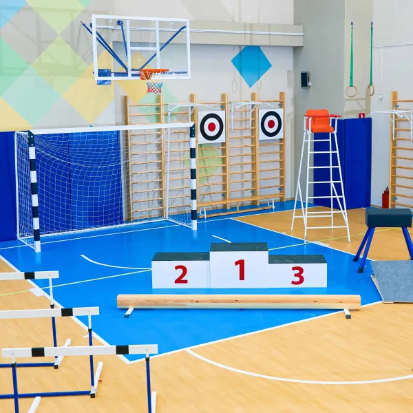 Щит для метания навесной на шведскую стенку (фанера) 700х700 ZAVODSPORTA за 8&nbsp;960 ₽ в Магнитогорске