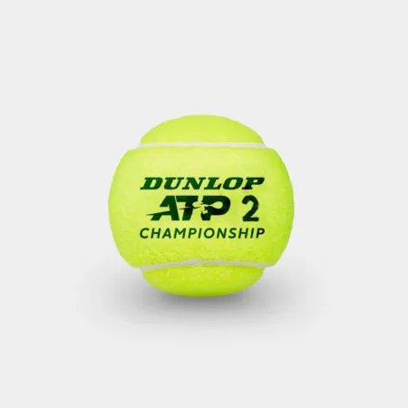 Мяч теннисный Dunlop ATP Championship 3B, 601626, уп.3ш, одобр. ITF, нат.резина,фетр. за 943.50 ₽ купить в Магнитогорске