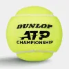 Мяч теннисный Dunlop ATP Championship 4B, 601627, уп.4ш, одобр. ITF, нат.резина,фетр. за 1&nbsp;242.70 ₽ купить в Магнитогорске