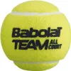 Мяч теннисный BABOLAT Team All Court,502081, уп.4 шт,одобр.ITF, сукно, нат.резина,желтый за 2&nbsp;385.10 ₽ купить в Магнитогорске