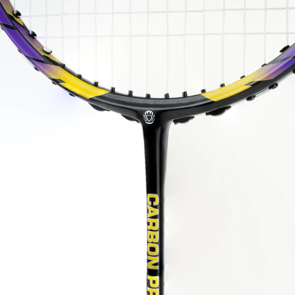 Ракетка бадм. TORRES Carbon PRO6, BD20521,для продв., стерж/обод из карбона,со струнами, фиол за 4&nbsp;477.80 ₽ в Магнитогорске